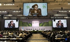 Cancun conference services translation